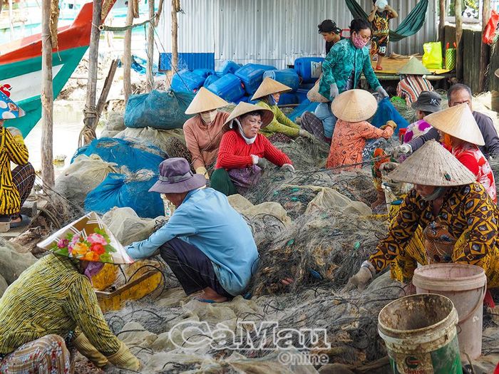 Phụ nữ ấp Sào Lưới, xã Ðá Bạc, gỡ lưới ghẹ tại cửa vàm Sào Lưới, thu nhập từ 150-250 ngàn đồng/người/ngày, tuỳ thời gian làm việc.