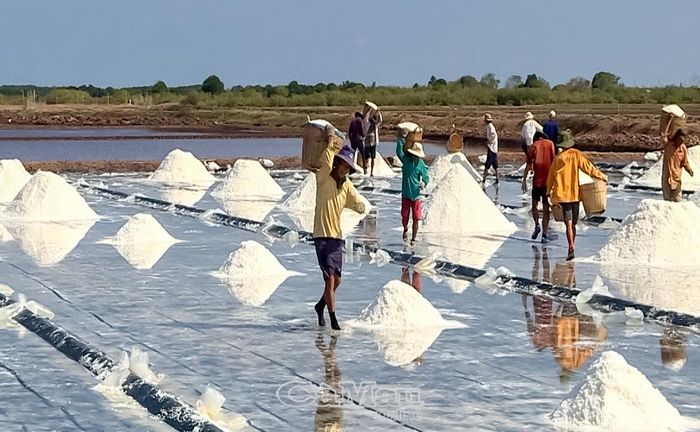 Xã Đông Hải có vùng sản xuất muối tập trung với diện tích gần 726,5 ha.