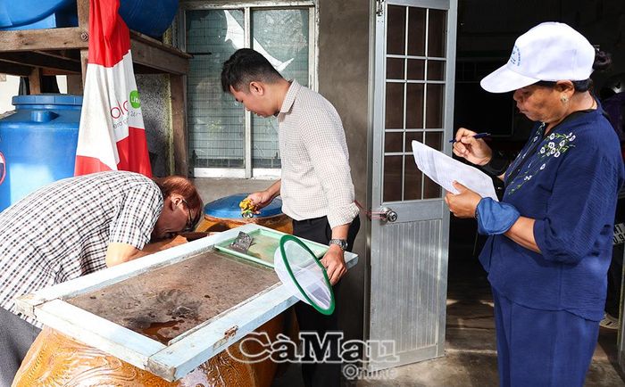 Tổ công tác kiểm tra kỹ lưỡng các dụng cụ chứa nước tại từng hộ gia đình.