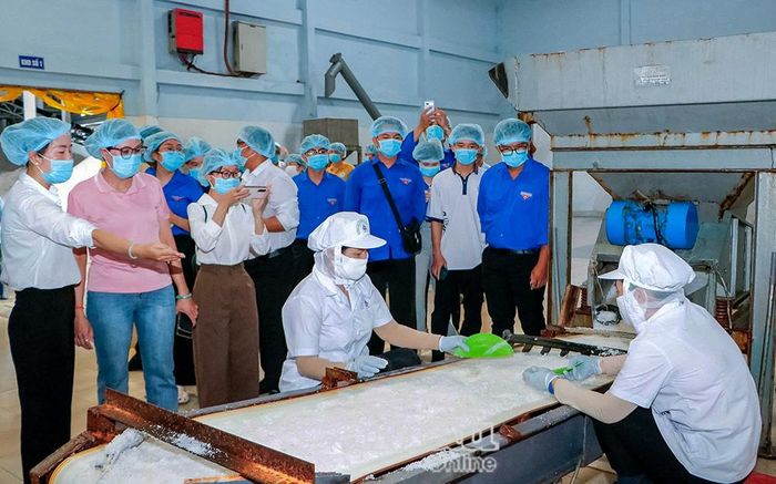 Nhiều bạn trẻ tham gia khoá tập huấn “Đổi mới sáng tạo nâng tầm giá trị đặc sản Cà Mau” do CiNEC phối hợp Tỉnh đoàn và Hội Liên hiệp Thanh niên Việt Nam tỉnh tổ chức, ngày 9-10/6.