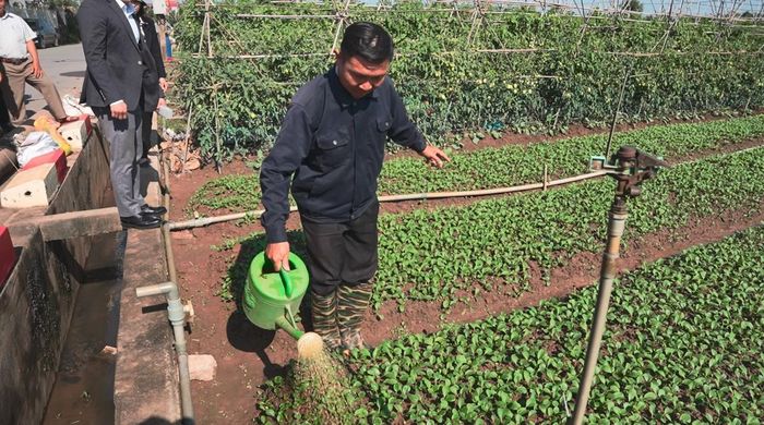 Ứng dụng khoa học công nghệ trong sản xuất nông nghiệp góp phần nâng cao năng suất, chất lượng cây trồng. 