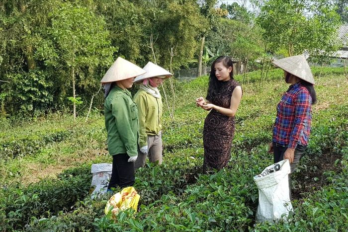 Khi cán bộ khuyến nông đồng hành cùng nông dân