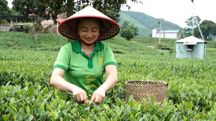 Khi sản phẩm thực sự là sinh kế của người dân