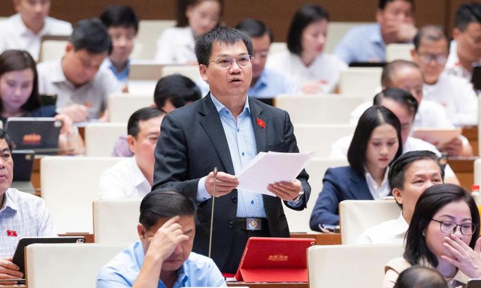 Đại biểu Quốc hội Dương Khắc Mai.