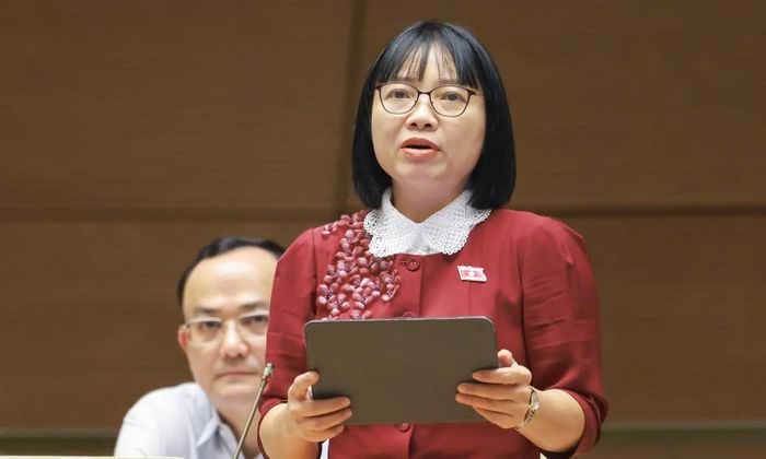 Đại biểu Quốc hội Nguyễn Thị Việt Nga.