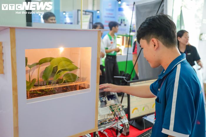 Hệ thống IoT giám sát môi trường, tự động điều chỉnh máy bơm, đèn, quạt theo điều kiện thực tế của cây. (Ảnh: Ngọc Duy)