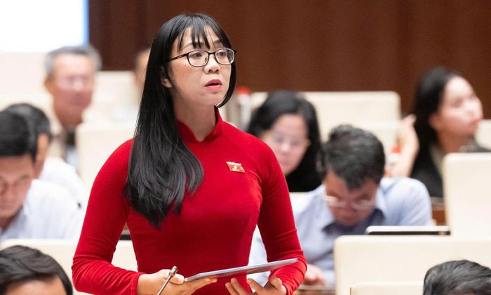 Đại biểu Trịnh Thị Tú Anh.