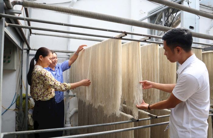 Phơi miến dong tại cơ sở sản xuất ở thôn Minh Hiệp (xã Dương Hòa). Ảnh: Mai Nguyễn