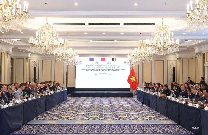 Tọa đàm cấp cao giữa Tổng Bí thư, Chủ tịch nước Tô Lâm với lãnh đạo doanh nghiệp tiêu biểu châu Âu và Bỉ. Ảnh: TTXVN