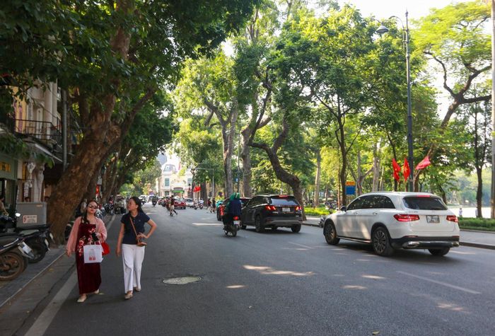 Không gian xanh trên tuyến phố Hàng Khay tạo cảnh quan đặc trưng cho khu vực xung quanh hồ Hoàn Kiếm. Ảnh: Khánh Huy