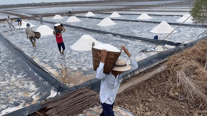 Cà Mau đang đẩy mạnh ứng dụng công nghệ nhằm nâng cao năng suất, chất lượng và giá trị hạt muối.
