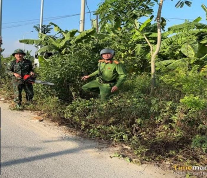 Việc phát quang cây xanh tại các vị trí tiềm ẩn nguy cơ tai nạn giúp cải thiện tầm nhìn, tạo điều kiện để người điều khiển phương tiện chủ động quan sát, nhận biết tình huống và xử lý kịp thời khi lưu thông qua các nút giao