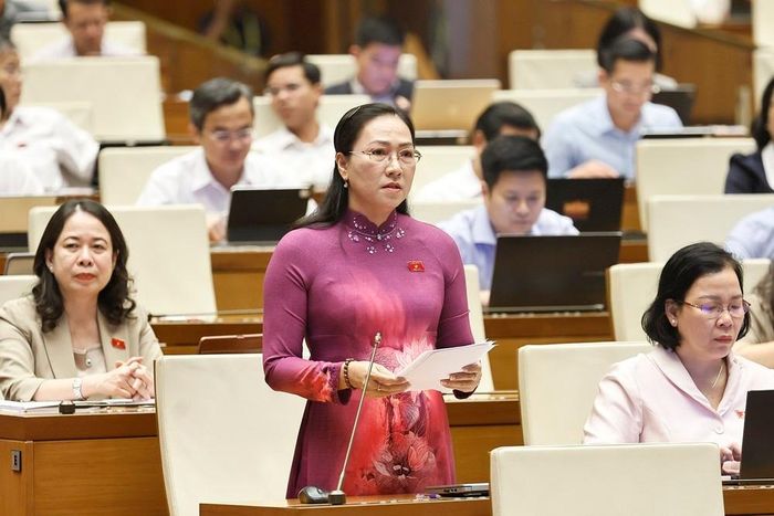 Đại biểu Quốc hội tỉnh Vĩnh Long Nguyễn Thị Yến Nhi phát biểu. Ảnh: Doãn Tấn - TTXVN
