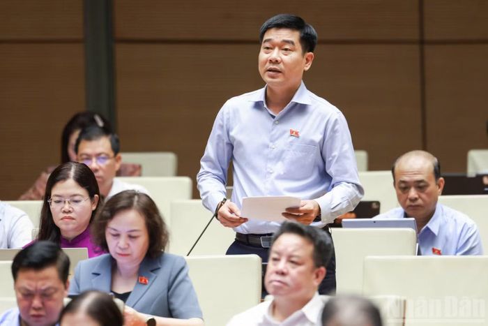 Đại biểu Lê Thanh Hoàn (Đoàn Thanh Hóa).