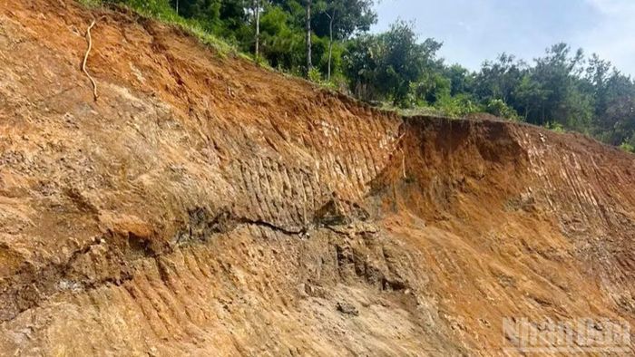 Ở phần ta-luy dương nơi các đơn vị thi công đang khắc phục sụt lún tiếp tục nứt, lún đất tiềm ẩn nguy cơ mất an toàn.