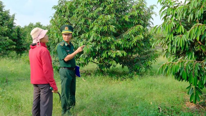 Phát triển kinh tế hộ gia đình là một trong những nền móng bảo vệ biên giới vững chắc. (Ảnh: NS)