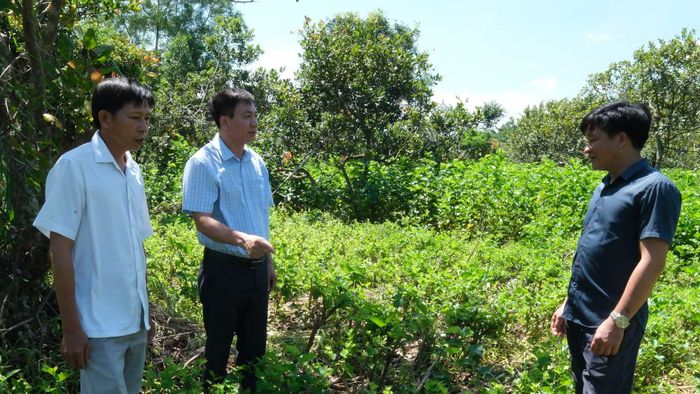 Lãnh đạo xã Tân Tiến khảo sát mô hình trồng dâu nuôi tằm trên địa bàn. (Ảnh: NS)
