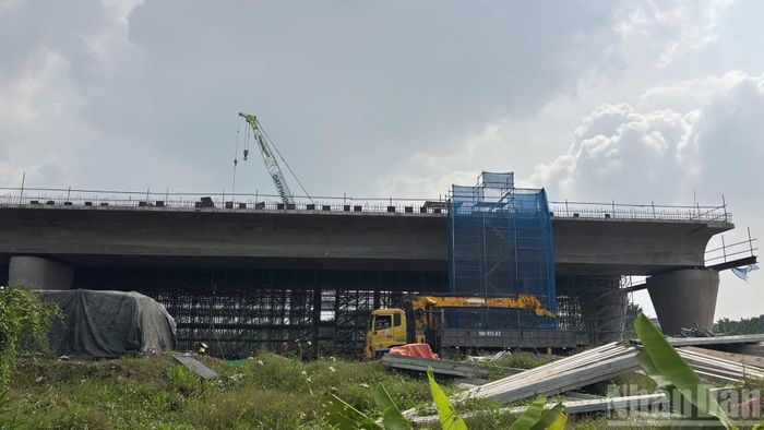 Theo thiết kế, cầu Trần Hưng Đạo sử dụng kết cấu vòm thép kết hợp dây văng, với hình thức kiến trúc gồm các đường cong liên tiếp.