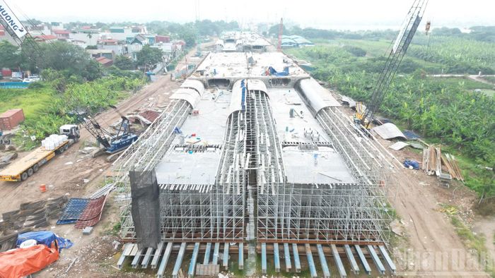 Dự án cầu Trần Hưng Đạo có tổng chiều dài khoảng 4,18km, điểm đầu tại khu vực nút giao Trần Hưng Đạo-Trần Thánh Tông-Lê Thánh Tông, điểm cuối kết nối với phố Nguyễn Sơn, thuộc khu vực Long Biên và Bồ Đề.