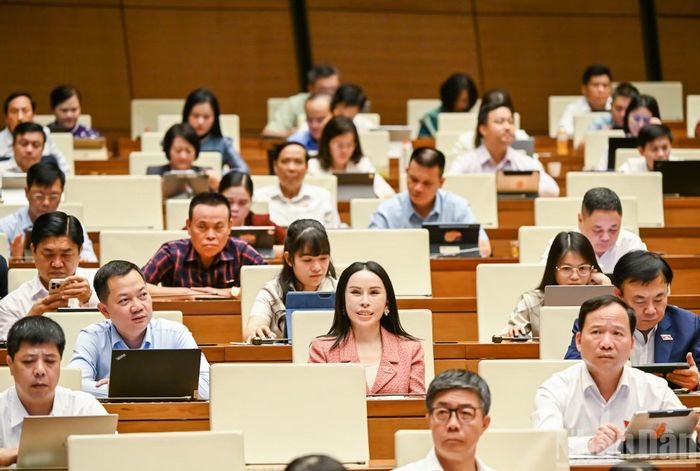 Các đại biểu Quốc hội dự phiên họp. (Ảnh: DUY LINH)