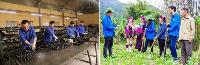Ảnh trái: Nhân viên Xưởng X56, Cục Hậu cần-Kỹ thuật Quân khu 3 bảo quản vũ khí tại Phân xưởng. Ảnh phải: Trí thức trẻ tình nguyện Lâm trường 103, Đoàn Kinh tế-Quốc phòng 327 hướng dẫn đồng bào xã Quảng Đức, TP Quảng Ninh kỹ thuật trồng và chăm sóc cây giống.