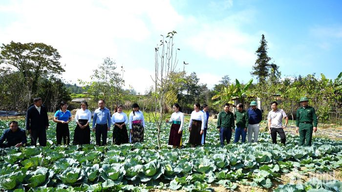  Các đại biểu tham quan thực tế mô hình trồng rau an toàn tại thôn Mỏ Phàng, xã Sơn Vĩ.  