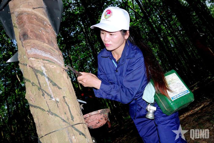 Tuyển thủ thi thực hành.