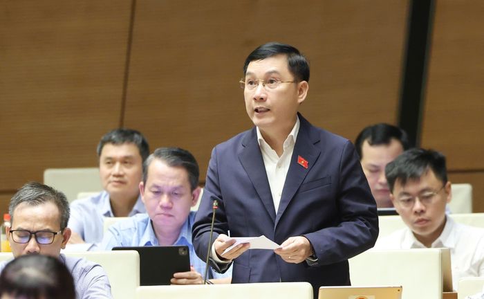 Đại biểu Lê Hoàng Anh (Gia Lai). Ảnh: QUANG PHÚC