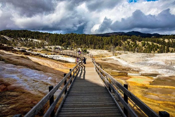 Lối đi dành cho du khách uốn quanh những bậc thềm địa nhiệt tại Mammoth Hot Springs. Ảnh: locationscout.net