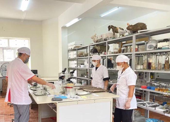 Sinh viên ngành Chăn nuôi - Thú y, Trường Cao đẳng Sơn La trong phòng thực hành. Ảnh: NTCC.
