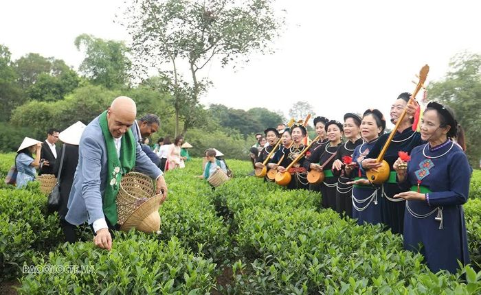 Thông qua chương trình tham quan và trải nghiệm, các đại biểu có cơ hội trực tiếp khám phá vùng chè nổi tiếng, tìm hiểu những giá trị văn hóa truyền thống gắn liền với cây chè.