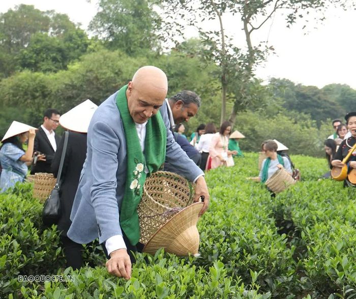  Chia sẻ với Báo Thế giới và Việt Nam về chuyến tham quan, trải nghiệm văn hóa trà Thái Nguyên ngày 30/10, Đại sứ Morocco tại Việt Nam Jamale Chouaibi bày tỏ ấn tượng trước tiềm năng du lịch của địa phương, chất lượng trà và sự khéo léo của người làm chè. Đại sứ đánh giá, hành trình trên đoàn tàu di sản từ Hà Nội đến Thái Nguyên là trải nghiệm độc đáo, có khả năng thu hút sự quan tâm của du khách, góp phần quảng bá hình ảnh địa phương. Đánh giá về sản phẩm trà địa phương, Đại sứ cho rằng trà Thái Nguyên có hương vị riêng biệt, độc đáo. Với chất lượng cao, đáp ứng tiêu chuẩn quốc tế, trà Thái Nguyên có nhiều triển vọng phát triển. Đại sứ nhấn mạnh địa phương cần đẩy mạnh quảng bá, tiếp thị để thương hiệu trà được biết đến rộng rãi hơn trên thị trường quốc tế. 