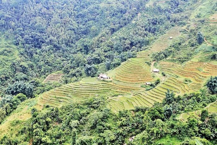 Ruộng bậc thang Hà Giang. Ảnh: Cục DLQG Việt Nam