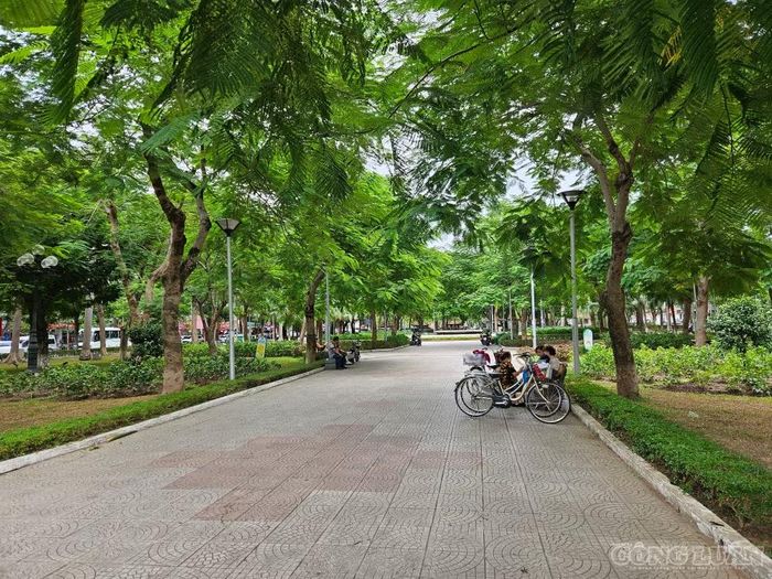 Toàn bộ công viên, vườn hoa, cây xanh sẽ được bàn giao cho Ủy ban nhân dân cấp phường quản lý.