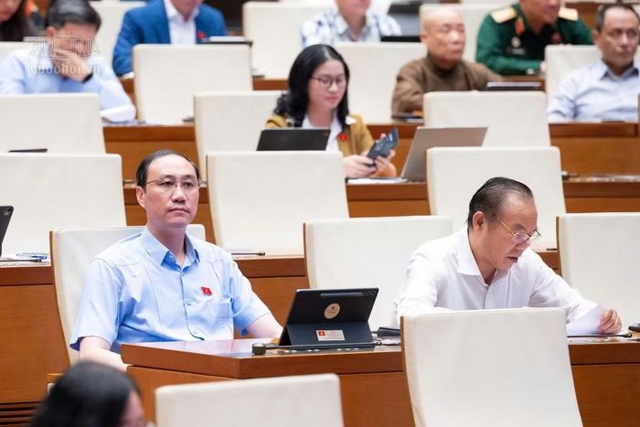 Các đại biểu làm việc tại hội trường. Ảnh: QH