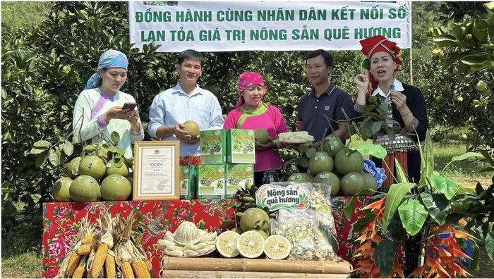 Một phiên livestream bán nông sản của người dân. Ảnh: Báo Lào Cai