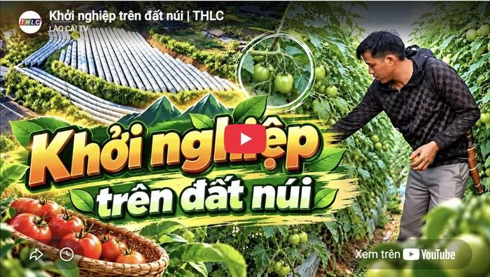 Báo và Phát thanh, Truyền hình tỉnh Lào Cai đa dạng hóa nội dung, kết hợp báo điện tử, phát thanh, truyền hình và các nền tảng số nhằm đưa thông tin về khoa học - công nghệ, chuyển đổi số đến gần hơn với đồng bào vùng cao. Ảnh: Báo Lào Cai