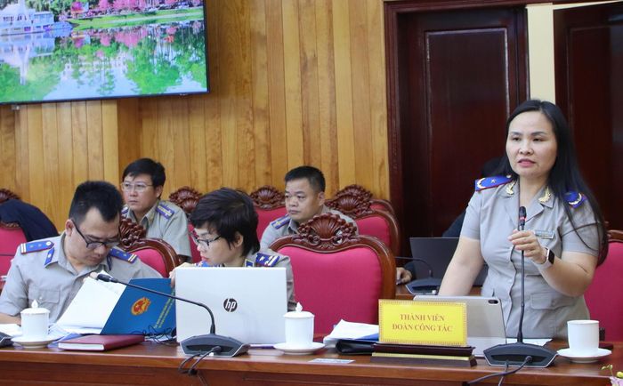 Thành viên Đoàn công tác báo cáo kết quả khảo sát THAHC trên địa bàn Lâm Đồng. Ảnh: Mai Long.