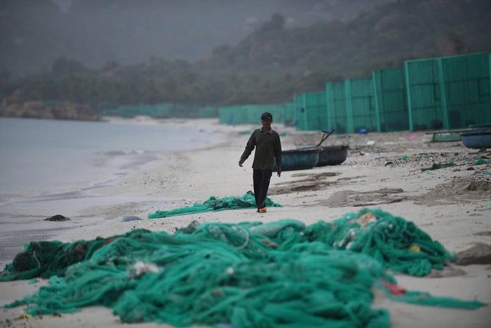 Bãi biển Bình Lập bị bủa vây bởi rác thải từ hoạt động nuôi tôm hùm.