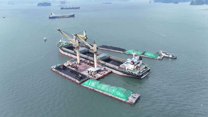 Công ty Kho vận và cảng Cẩm Phả tập trung cao độ cho sản xuất, quyết tâm hoàn thành các chỉ tiêu kế hoạch quý IV và cả năm 2026. 