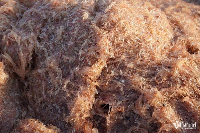 Ruốc biển (hay moi biển, tép biển) là loại giáp xác nhỏ chứa hàm lượng đạm cao
