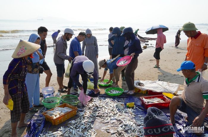 Người dân và du khách tìm mua hải sản tươi rói ngay khi ngư dân vừa kéo lưới lên bờ