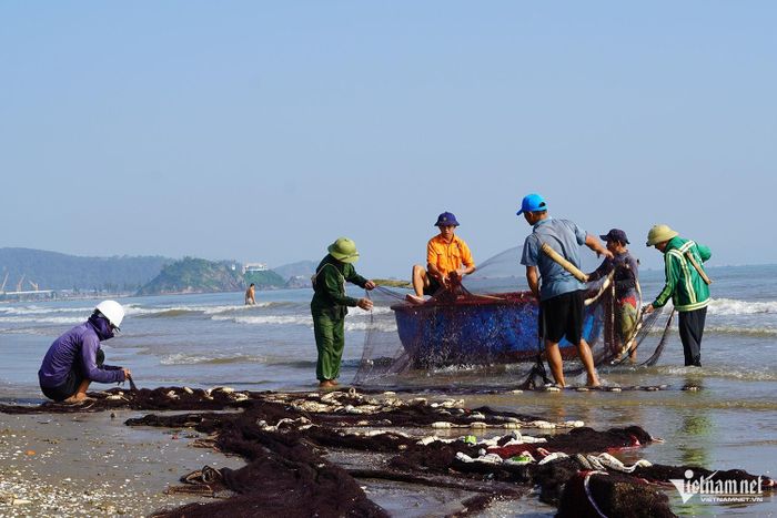 Công việc kéo lưới rùng đòi hỏi ngư dân phải phối hợp nhịp nhàng với nhau, từ việc chọn vị trí kéo lưới, canh con nước để kéo lưới