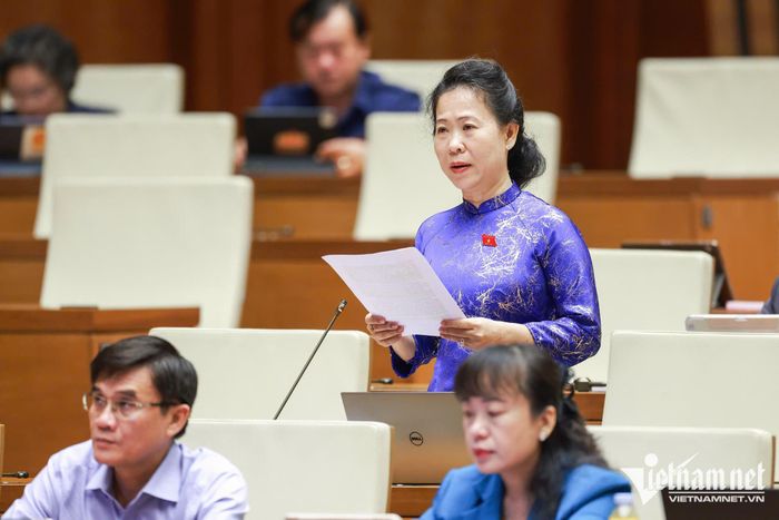 Đại biểu Tô Ái Vang