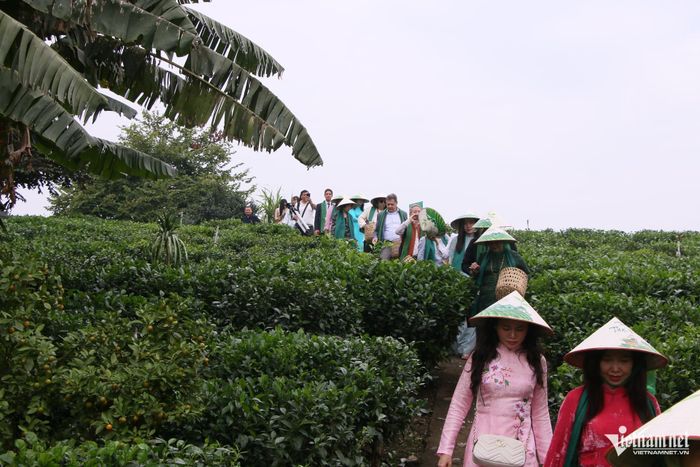 Các đại sứ, trưởng đại diện các tổ chức quốc tế tại Việt Nam và phu nhân, phu quân cùng đại diện ngoại giao đoàn tại Hà Nội tham quan, trải nghiệm văn hóa trà tại Hợp tác xã Trà Tiến Yên, xã Tân Cương, tỉnh Thái Nguyên. Ảnh: Tiến Hùng