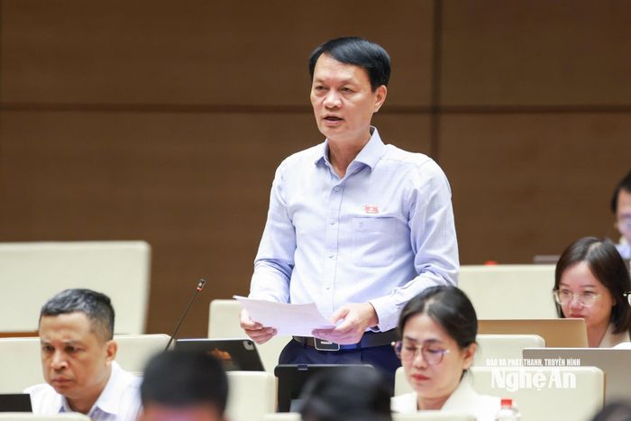 Đại biểu Lương Đình Hưng - Đoàn ĐBQH tỉnh Nghệ An phát biểu thảo luận. Ảnh: Viết Chung