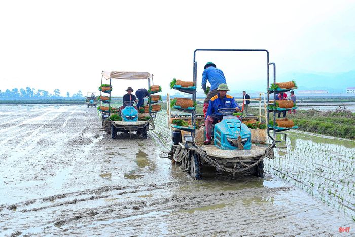 Trong giai đoạn 2021-2025, Hà Tĩnh đã thực hiện các chính sách hỗ trợ phát triển nông nghiệp, nông thôn góp phần cải thiện hạ tầng, nâng cao năng lực sản xuất và thúc đẩy cơ cấu lại ngành.