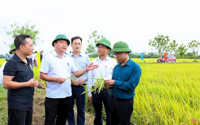 Phó Chủ tịch UBND tỉnh Hồ Huy Thành, lãnh đạo Sở NN&MT kiểm tra mô hình canh tác lúa cải tiến SRI gắn với giảm phát thải tại các xã Can Lộc và Gia Hanh vào tháng 5/2026.