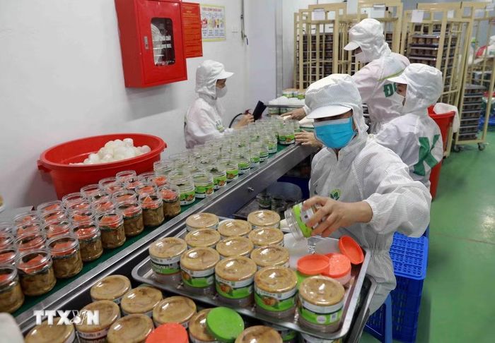 Dây chuyển sản xuất thịt chua của Công ty CP Sản xuất và Thương mại Trường FOODS. (Ảnh: Vũ Sinh/TTXVN)