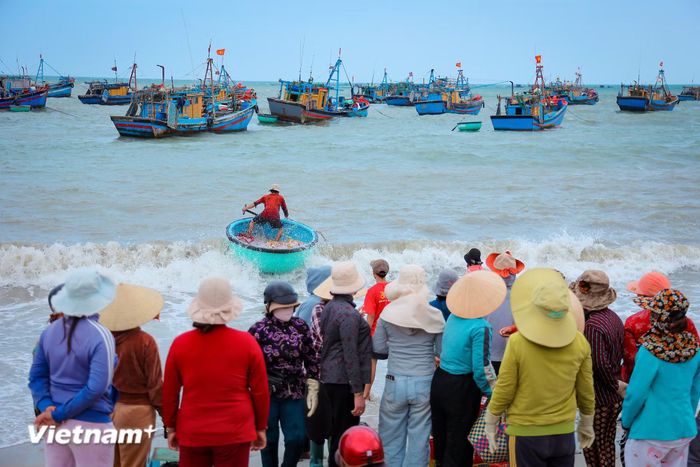 Dự báo thời tiết, cảnh báo thiên tai. (Ảnh: Hoài Nam/Vietnam+)
